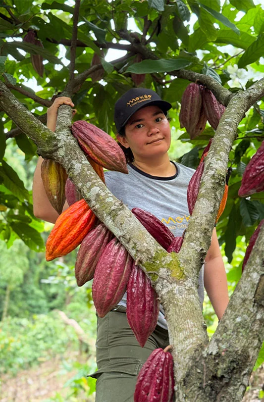 empresa-de-chocolate-premium-colombia